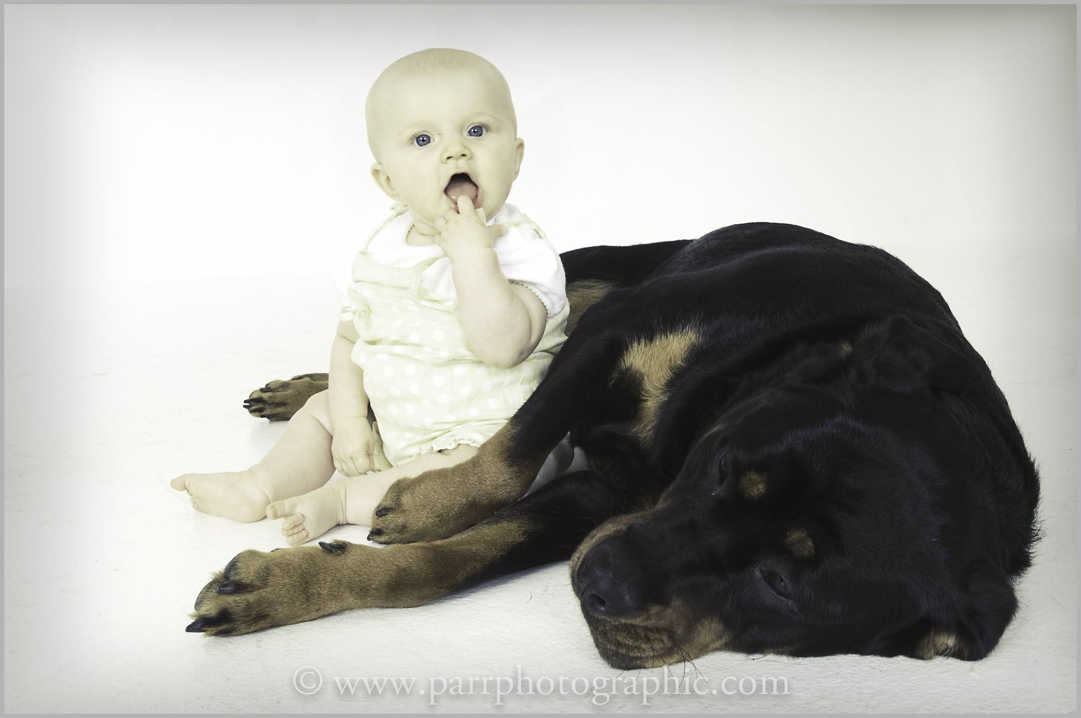 Studio Portrait of a baby sitting next to his best friend 