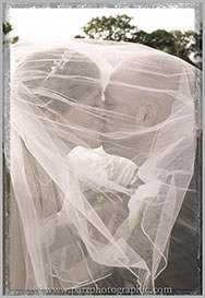 Bride and groom kiss under the brides vail